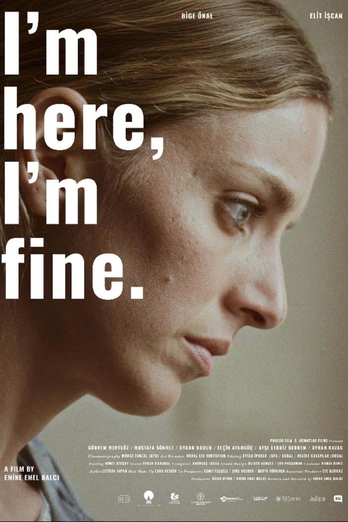 I'm Here, I'm Fine Poster